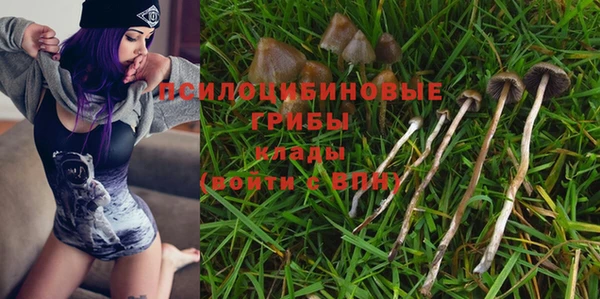 прущие крисы Арсеньев