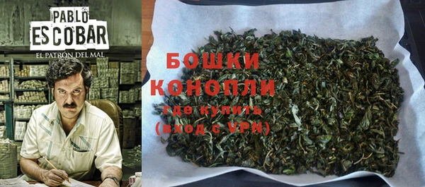 дживик Аркадак