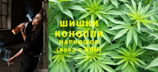 прущие крисы Арсеньев