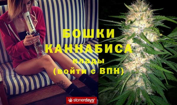 дживик Аркадак