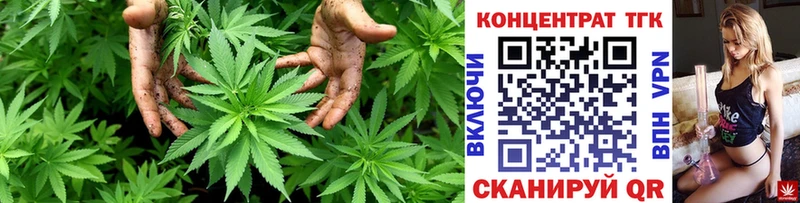ТГК Wax  цена наркотик  Судогда 
