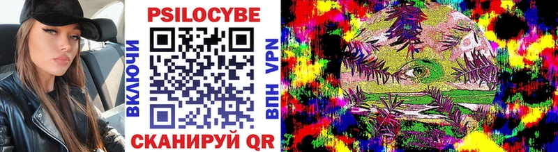 цены Судогда Псилоцибиновые грибы прущие грибы